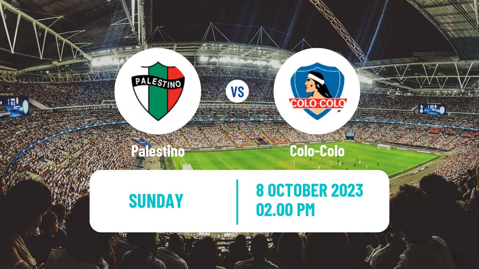 Soccer Chilean Primera Division Palestino - Colo-Colo