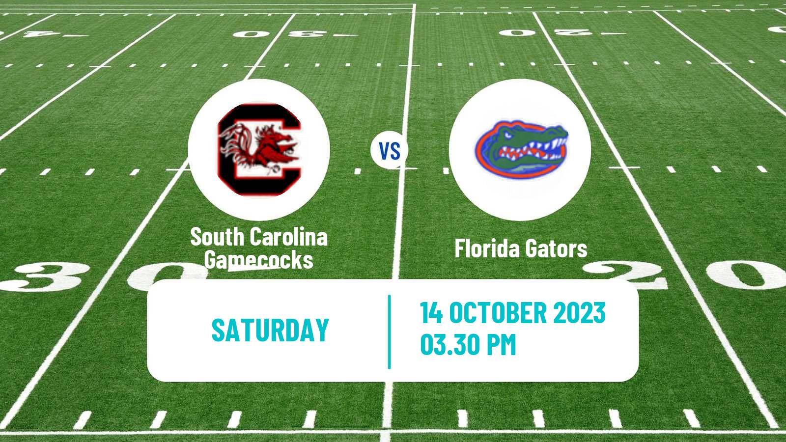 American football NCAA College Football South Carolina Gamecocks - Florida Gators