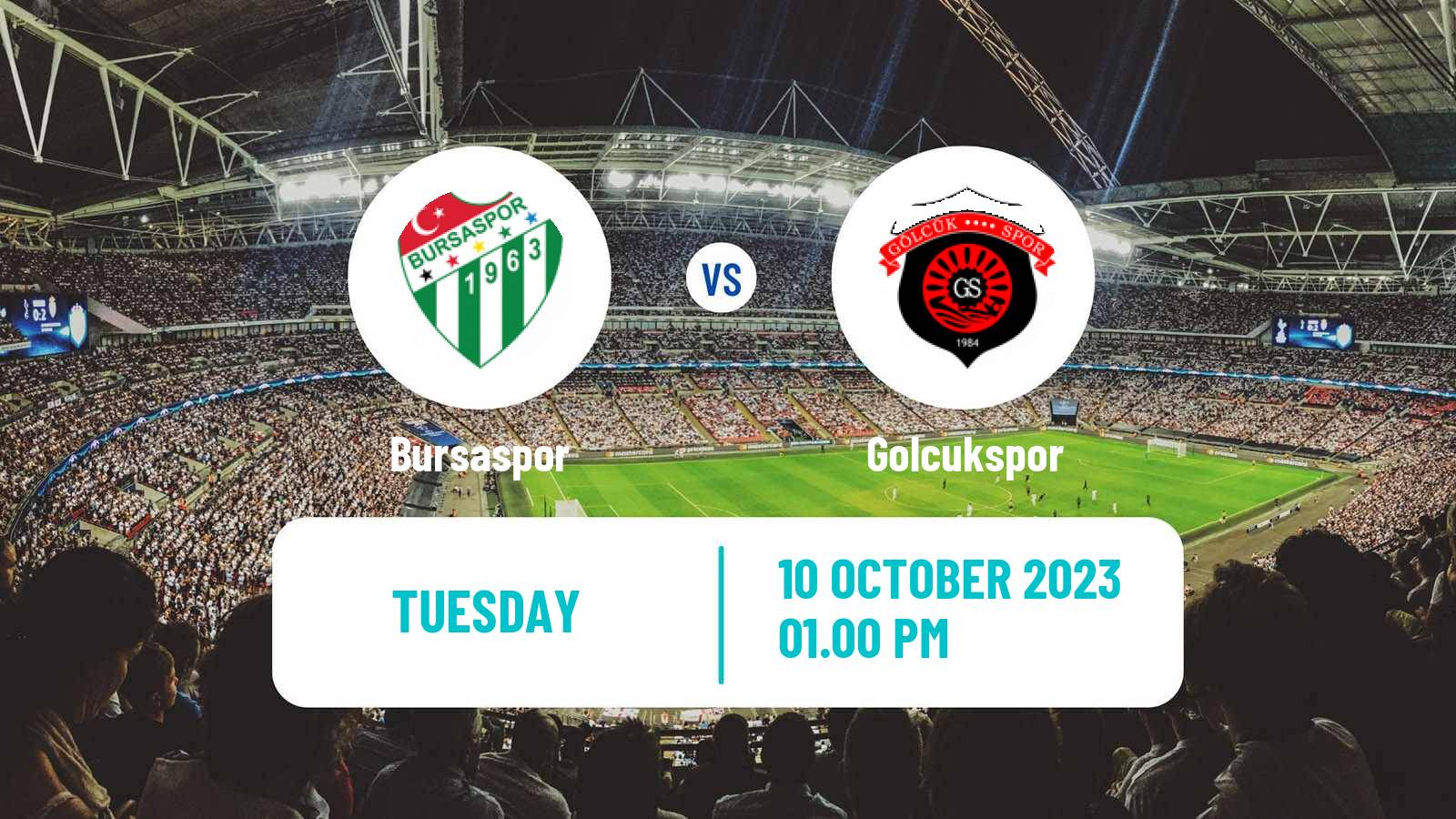 Soccer Turkish Cup Bursaspor - Golcukspor