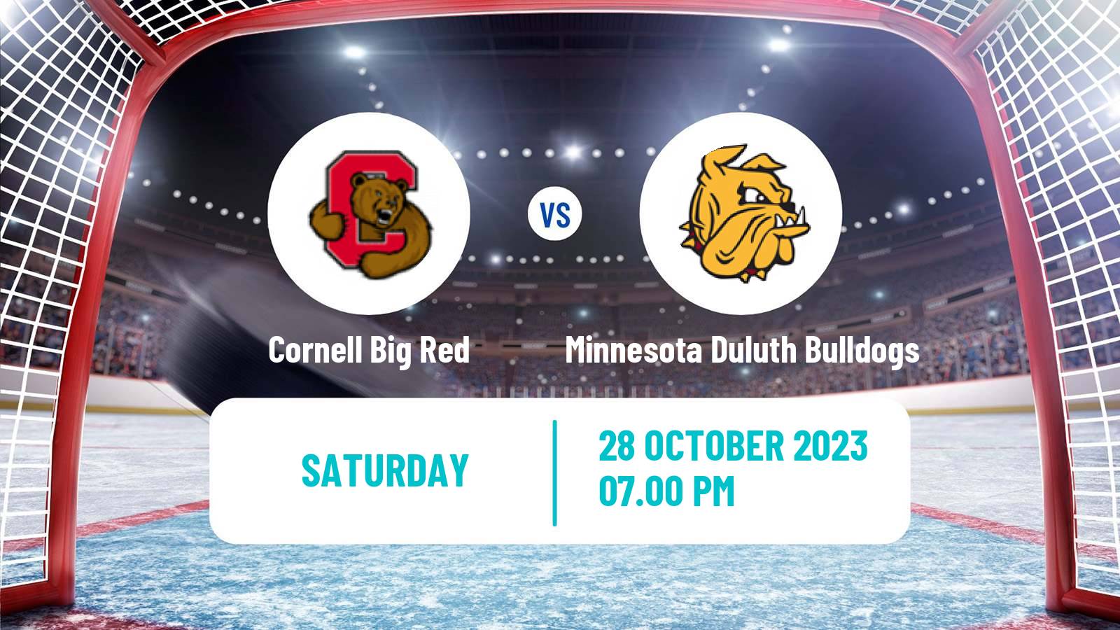 Hockey NCAA Hockey Cornell Big Red - Minnesota Duluth Bulldogs