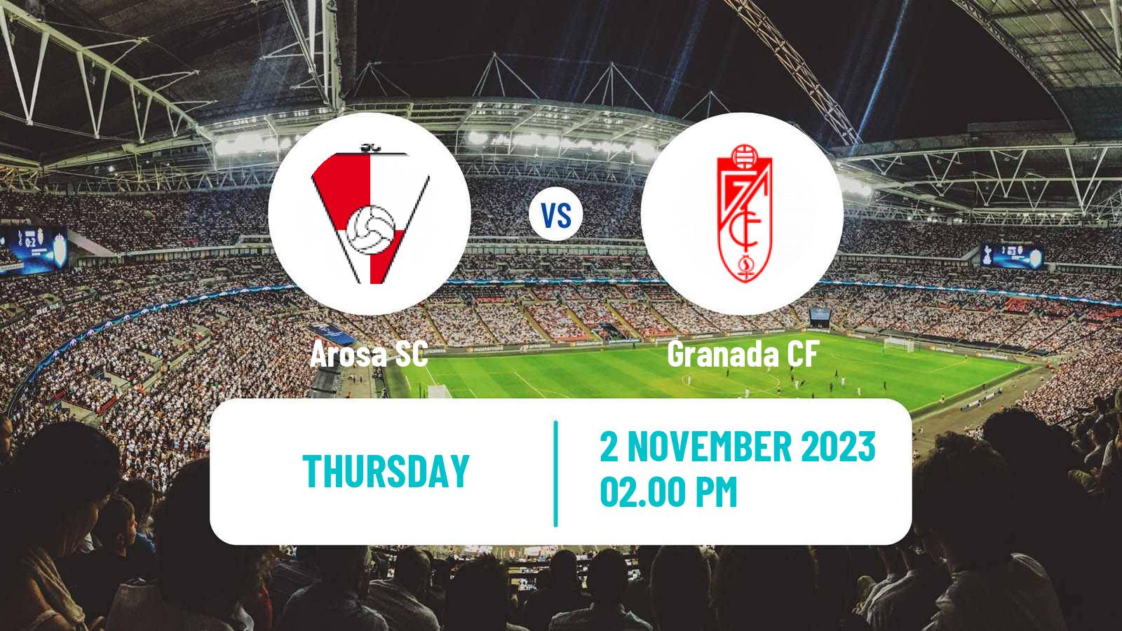 Soccer Spanish Copa del Rey Arosa - Granada