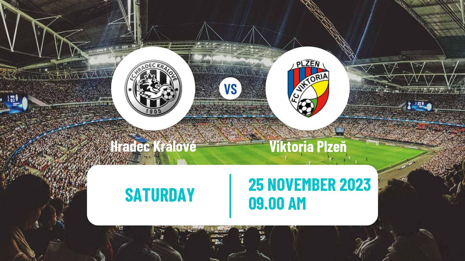 Soccer Czech 1 Liga Hradec Králové - Viktoria Plzeň