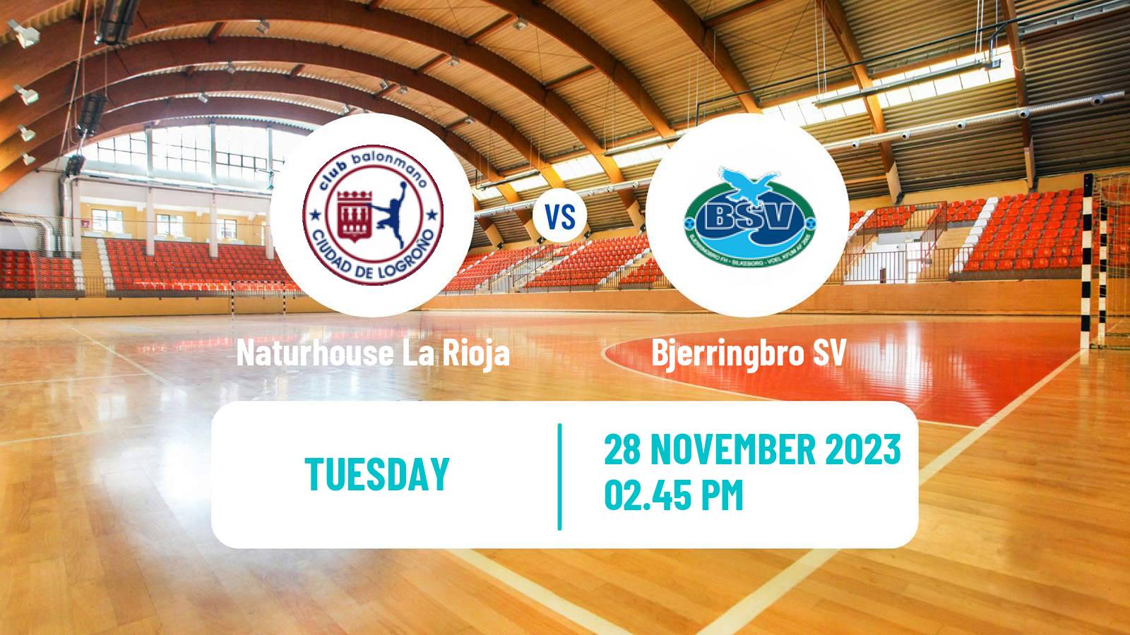 Handball EHF European League Naturhouse La Rioja - Bjerringbro SV