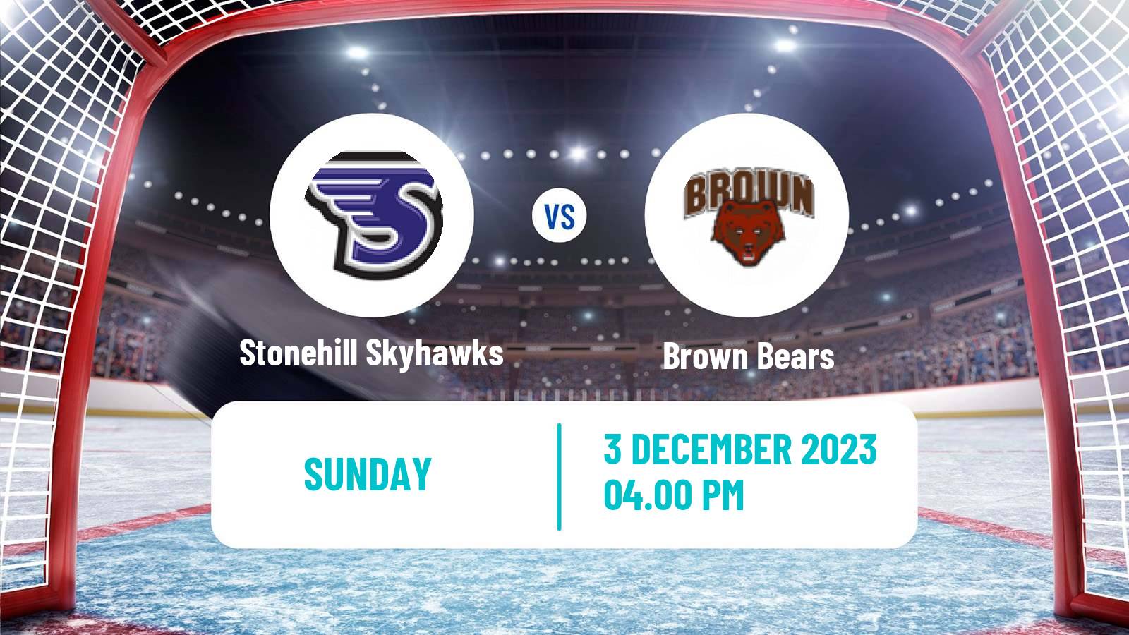 Hockey NCAA Hockey Stonehill Skyhawks - Brown Bears