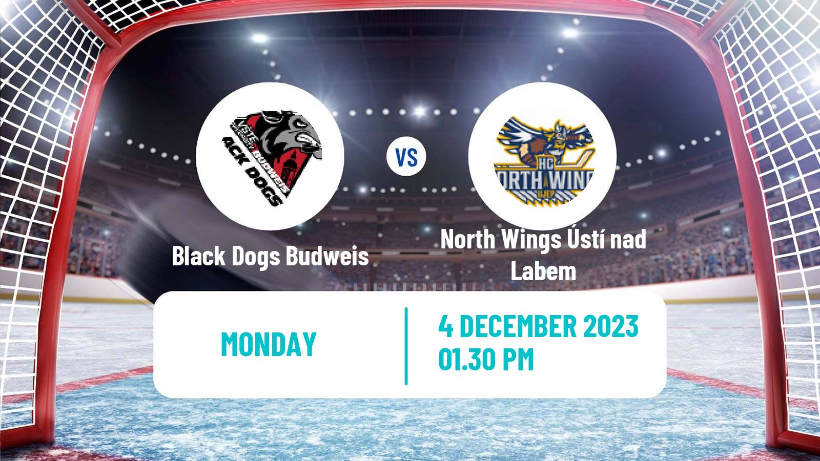 Hockey Czech ULLH Black Dogs Budweis - North Wings Ústí nad Labem