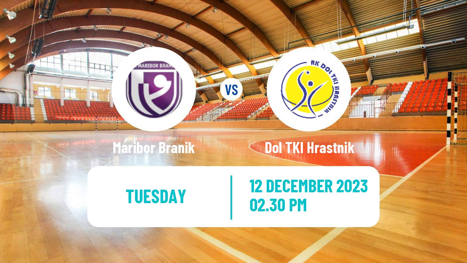 Handball Slovenian Cup Handball Maribor Branik - Dol TKI Hrastnik