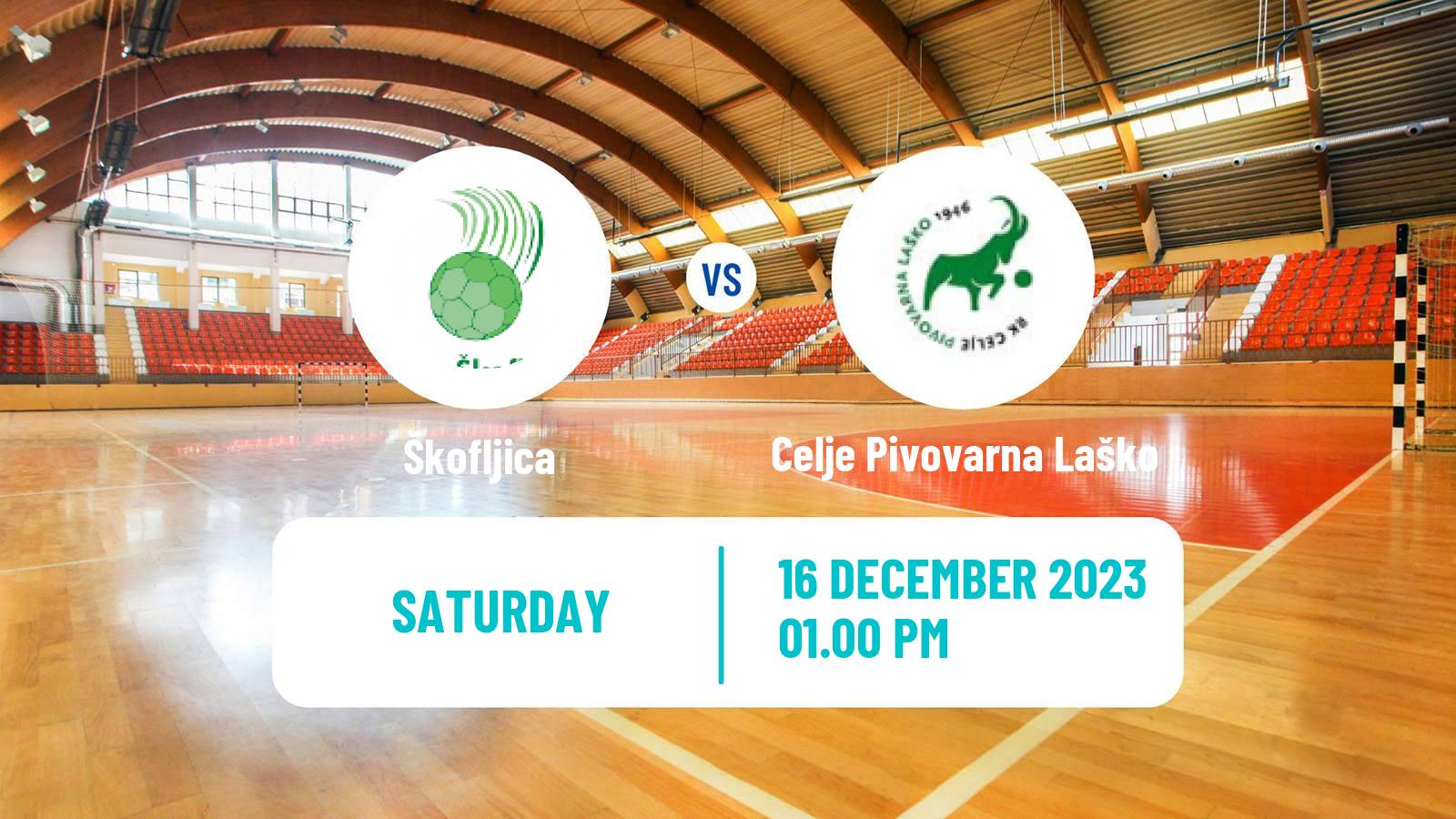 Handball Slovenian 1 NLB Liga Handball Škofljica - Celje Pivovarna Laško