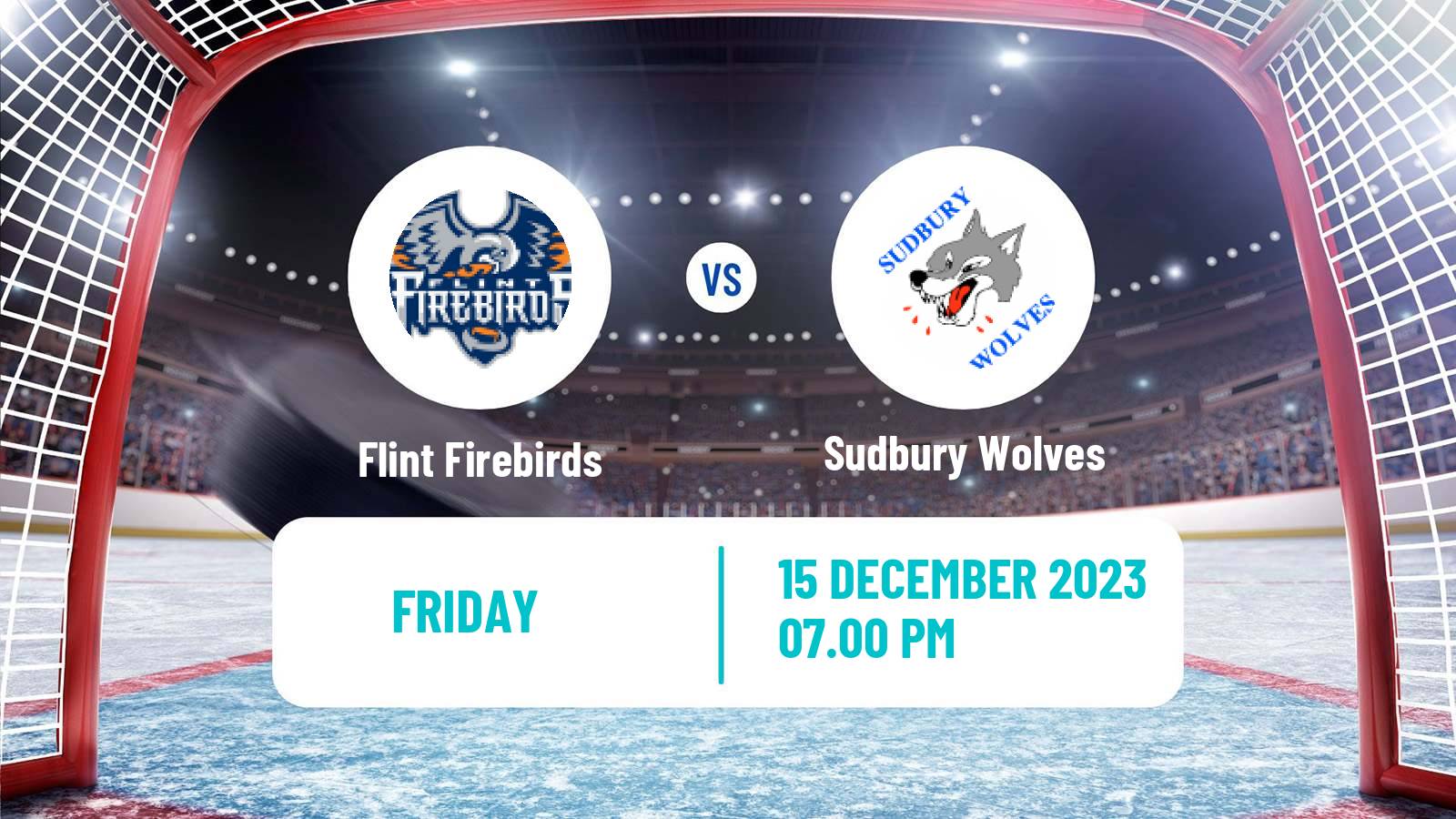 Hockey OHL Flint Firebirds - Sudbury Wolves