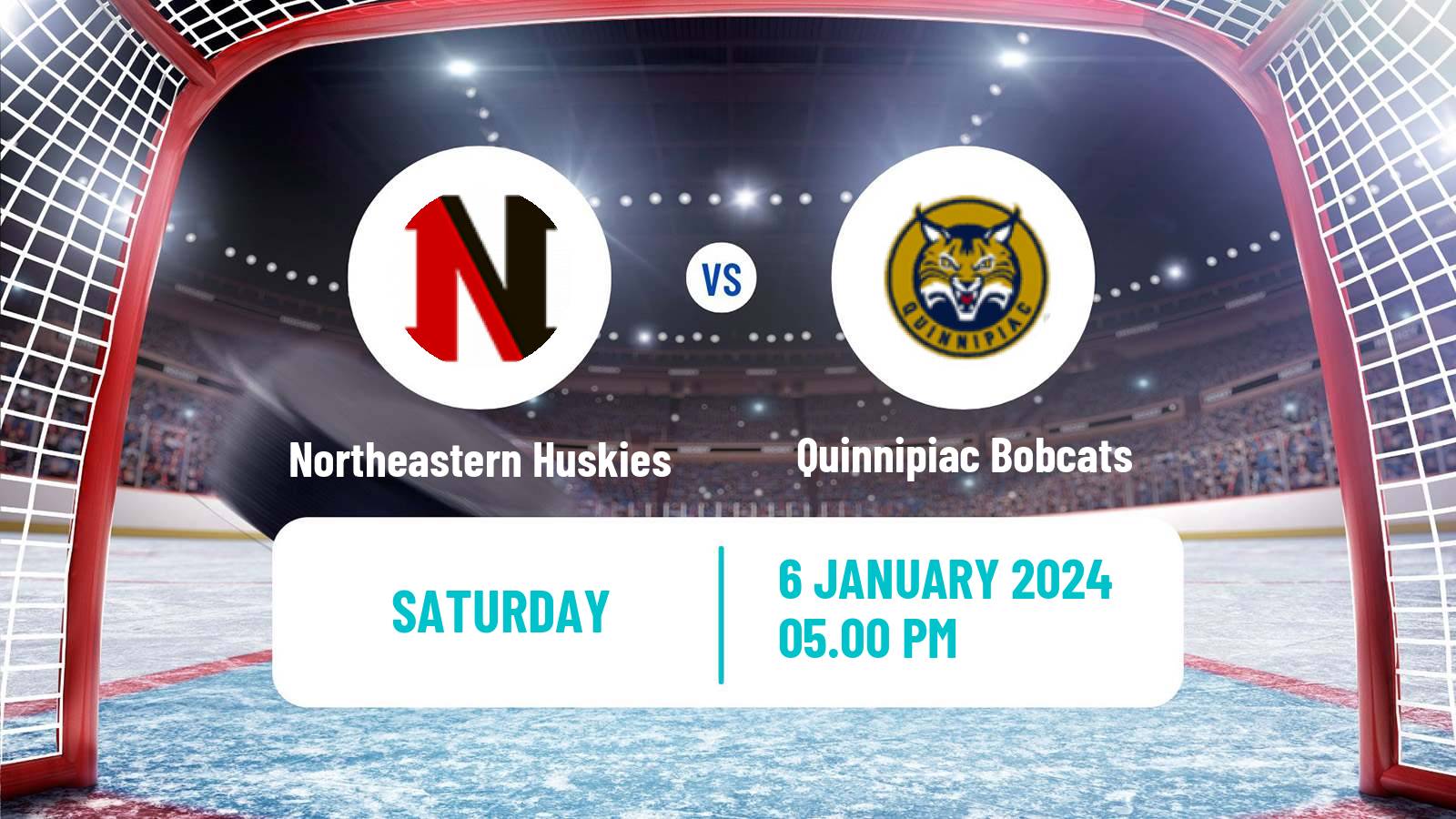 Hockey NCAA Hockey Northeastern Huskies - Quinnipiac Bobcats