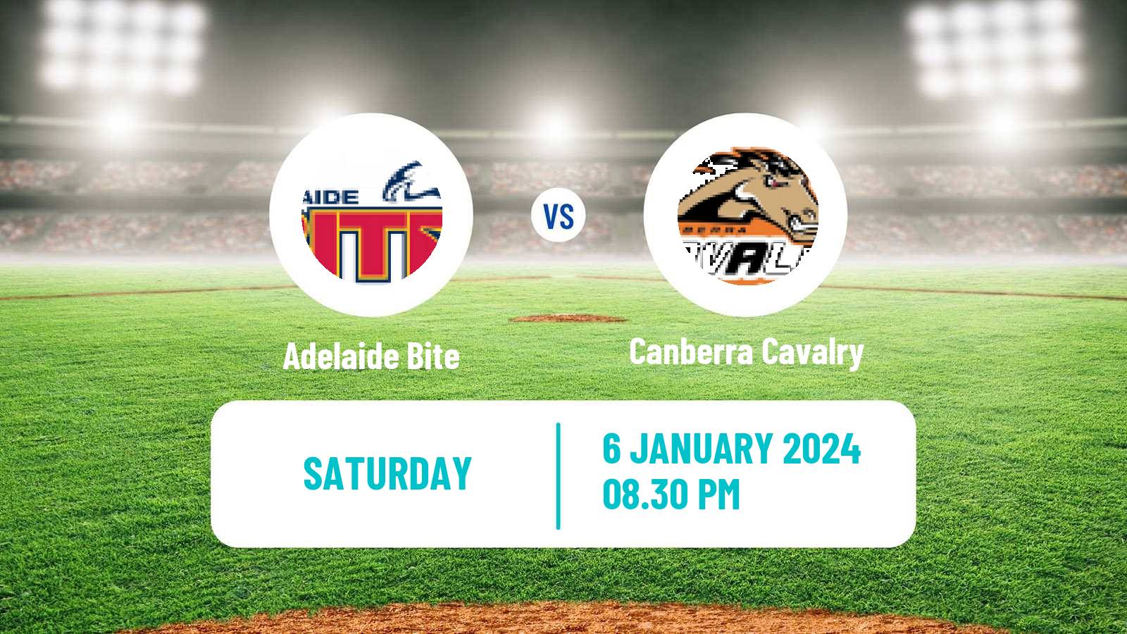 Baseball Australian ABL Adelaide Bite - Canberra Cavalry