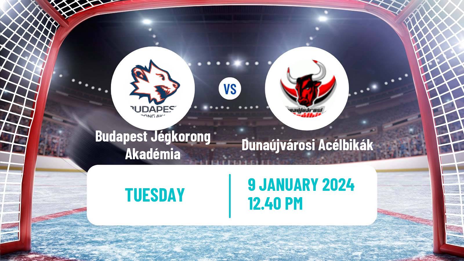 Hockey Hungarian Erste Liga Hockey Budapest Jégkorong Akadémia - Dunaújvárosi Acélbikák