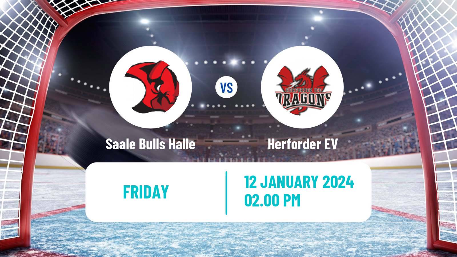 Hockey German Oberliga North Hockey Saale Bulls Halle - Herforder EV