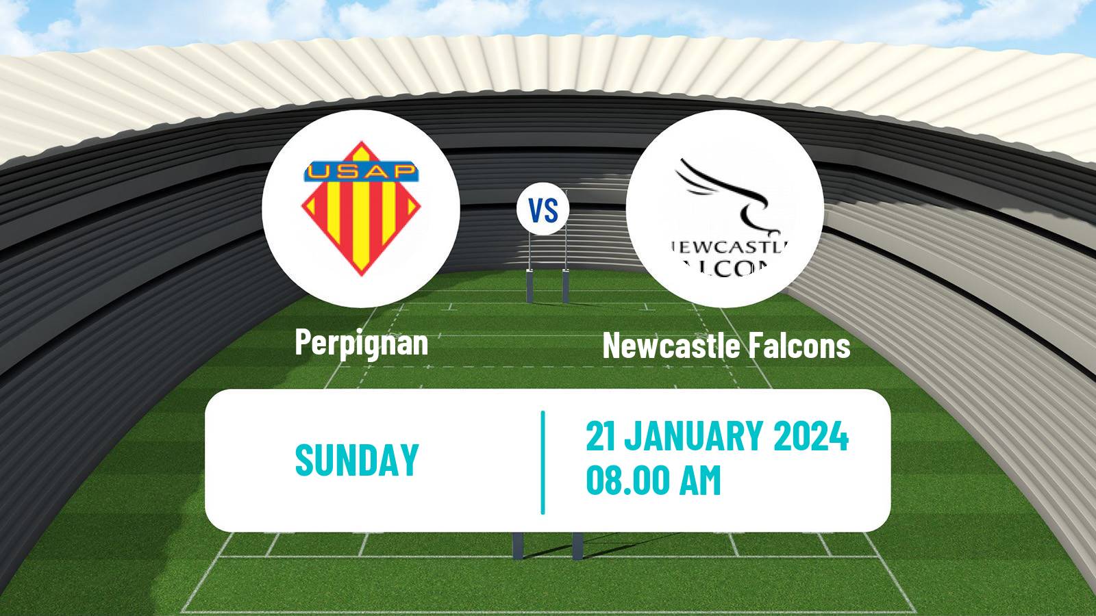 Rugby union Challenge Cup Rugby Perpignan - Newcastle Falcons