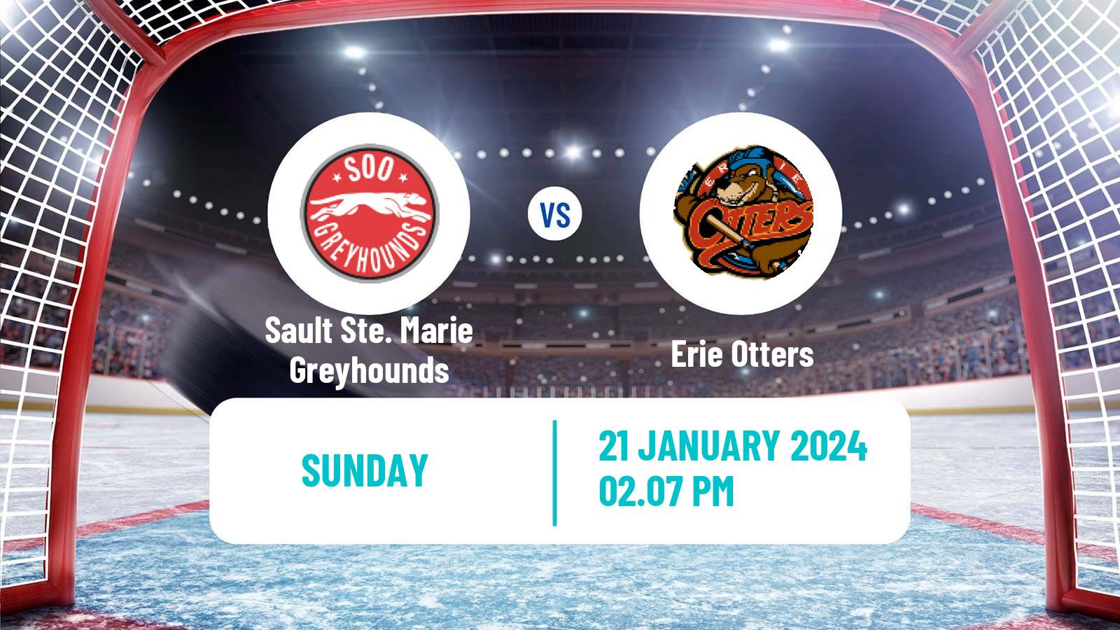 Hockey OHL Sault Ste. Marie Greyhounds - Erie Otters