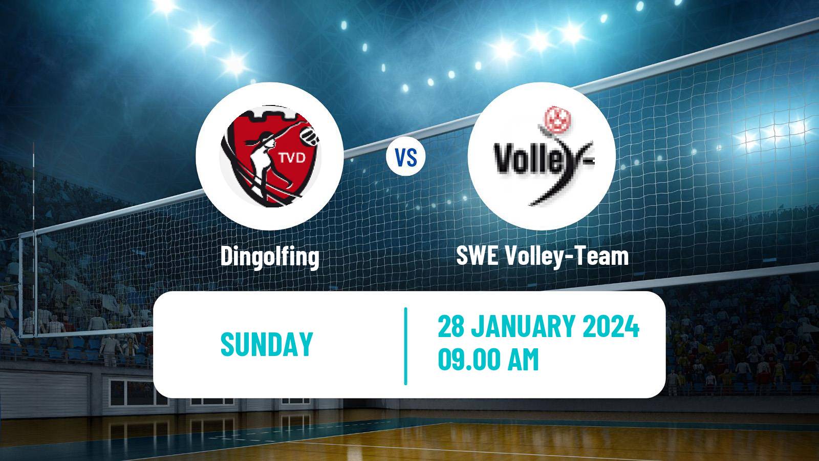 Volleyball German 2 Bundesliga Pro Volleyball Women Dingolfing - SWE Volley-Team