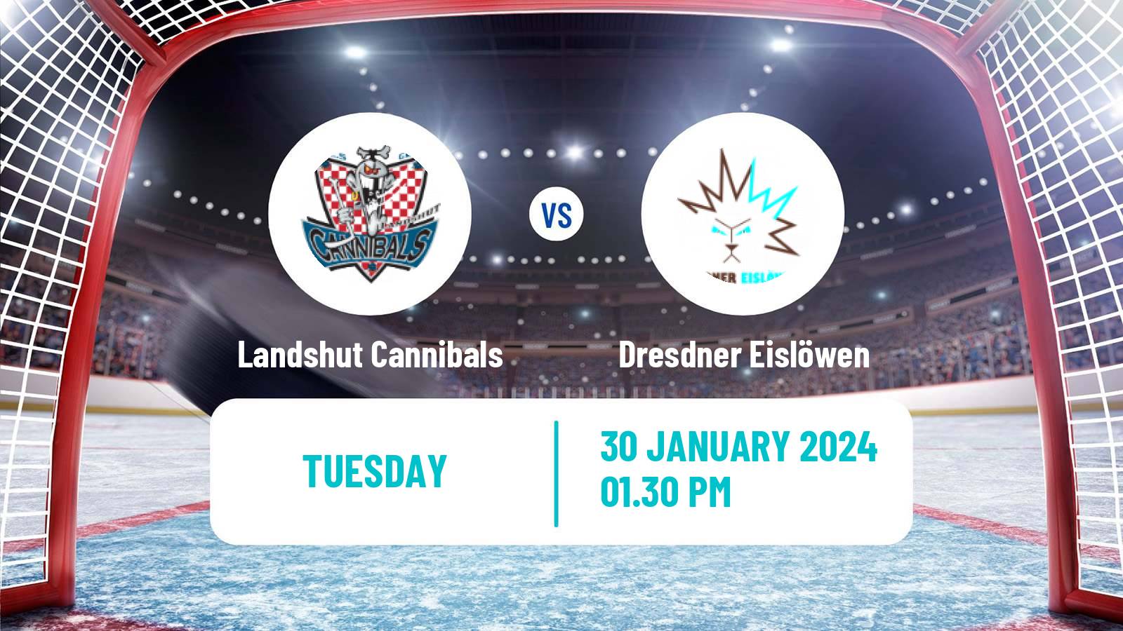 Hockey German DEL2 Landshut Cannibals - Dresdner Eislöwen