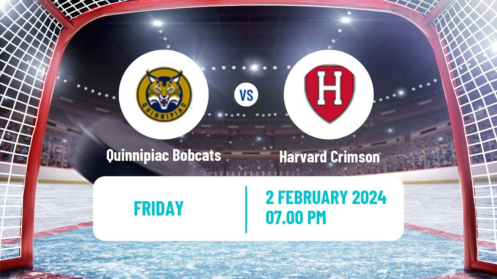 Hockey NCAA Hockey Quinnipiac Bobcats - Harvard Crimson