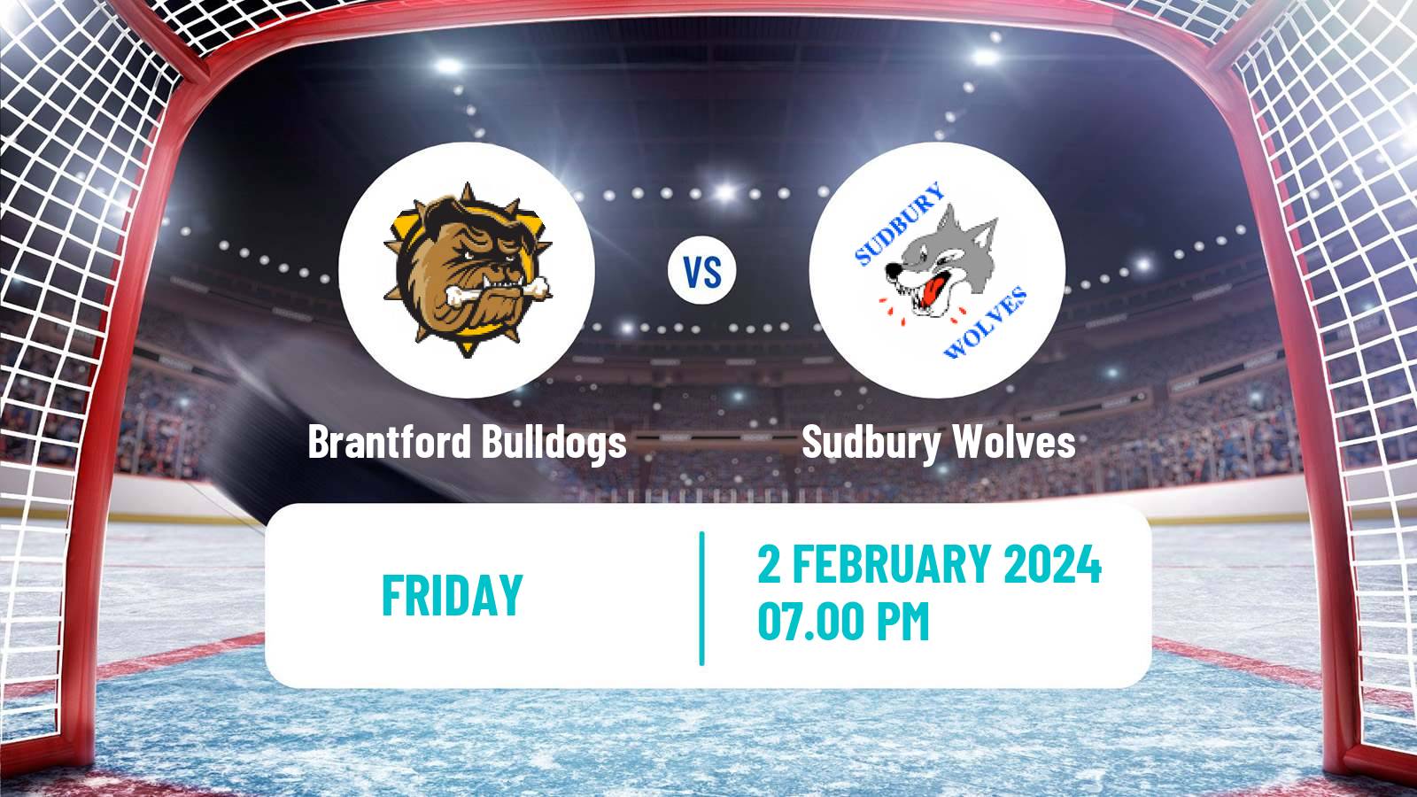 Hockey OHL Brantford Bulldogs - Sudbury Wolves