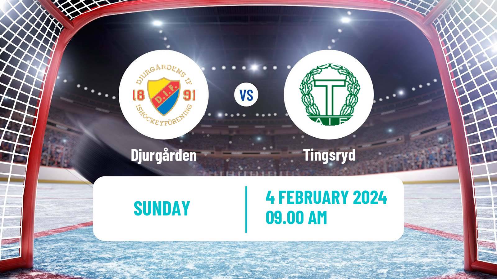 Hockey Swedish Hockey Allsvenskan Djurgården - Tingsryd