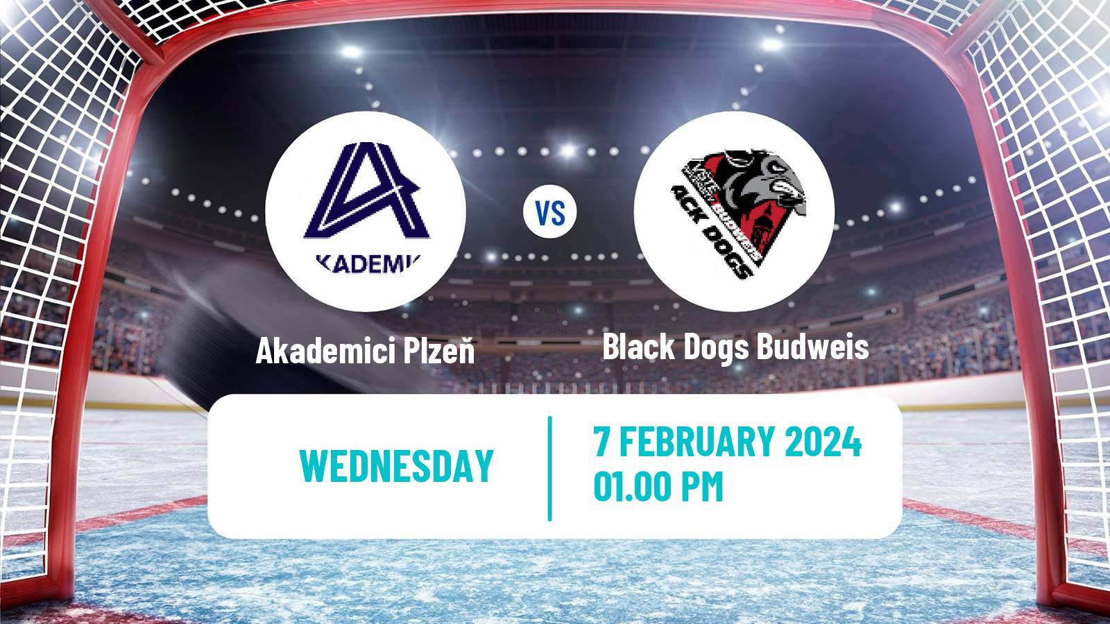 Hockey Czech ULLH Akademici Plzeň - Black Dogs Budweis