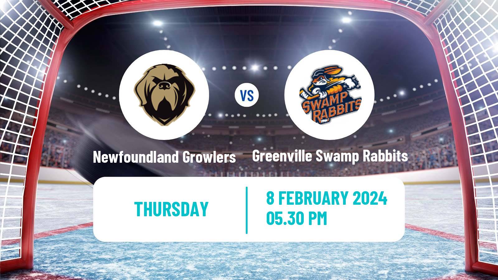 Hockey ECHL Newfoundland Growlers - Greenville Swamp Rabbits