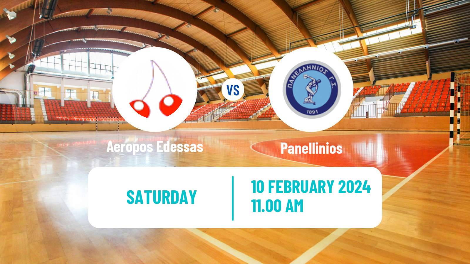 Handball Greek A1 Handball Aeropos Edessas - Panellinios