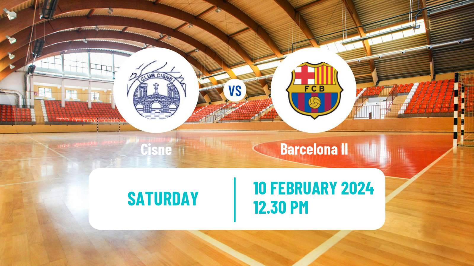 Handball Spanish Division de Honor Plata Handball Cisne - Barcelona II