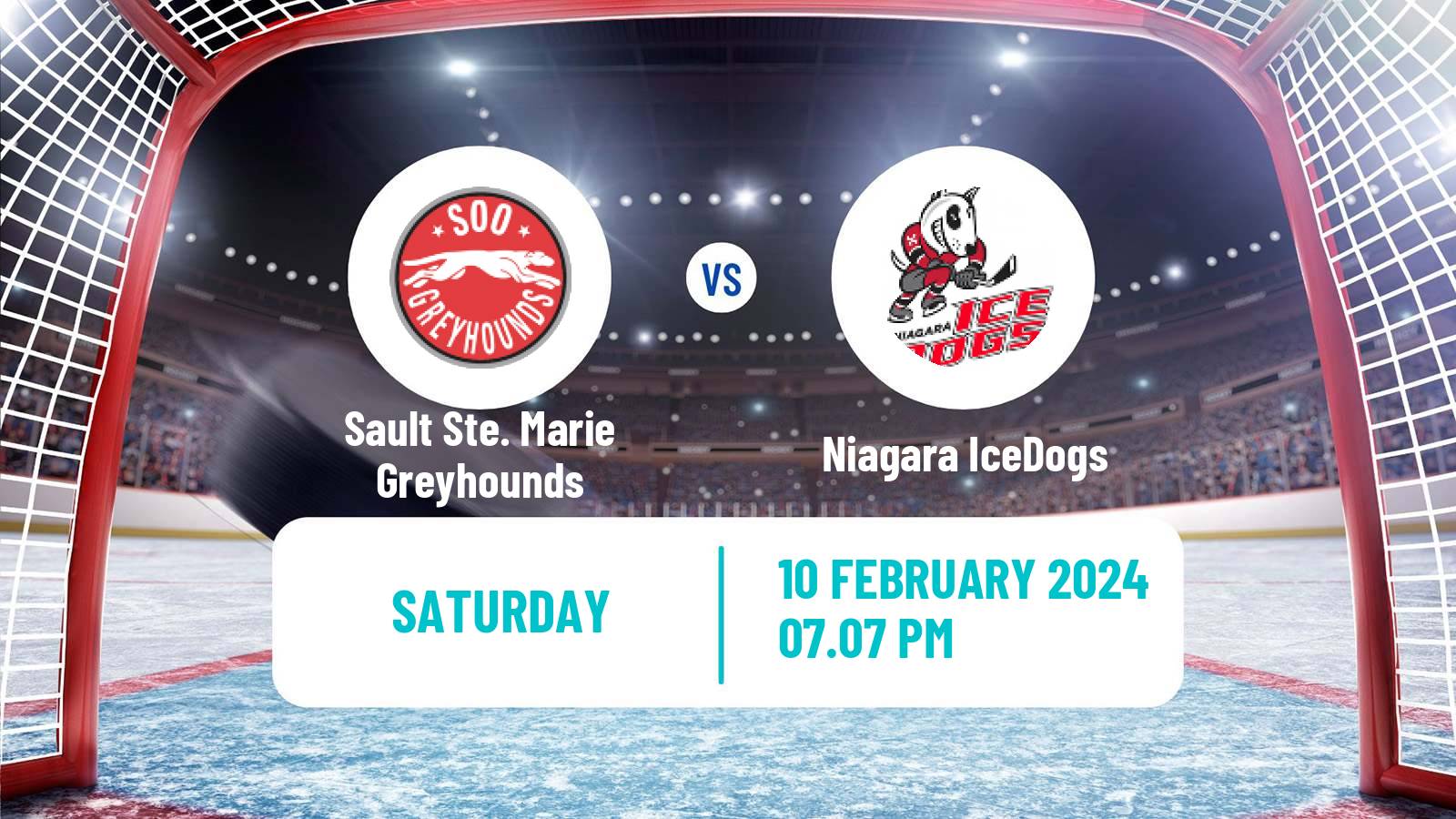 Hockey OHL Sault Ste. Marie Greyhounds - Niagara IceDogs