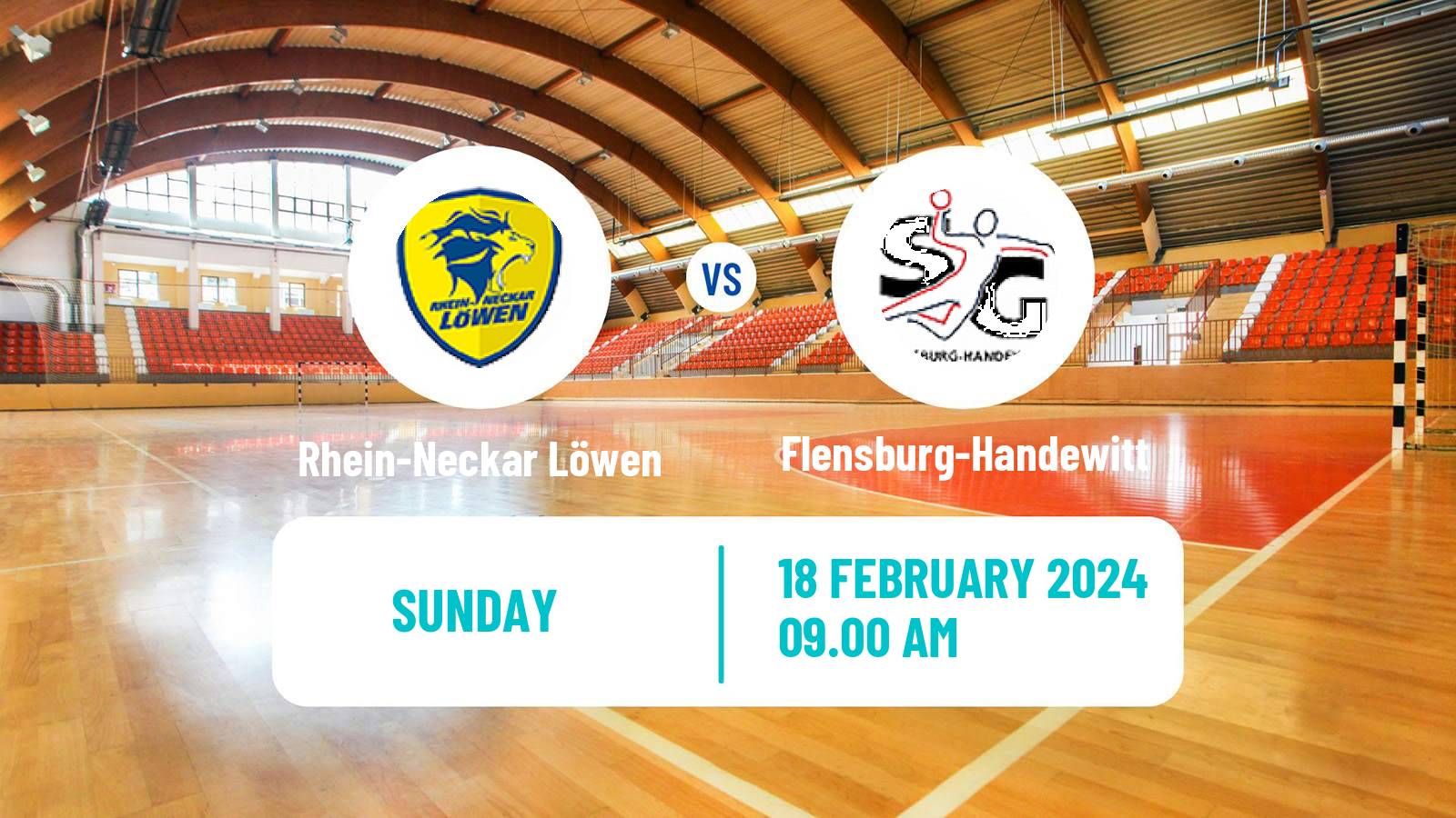 Handball German Bundesliga Handball Rhein-Neckar Löwen - Flensburg-Handewitt