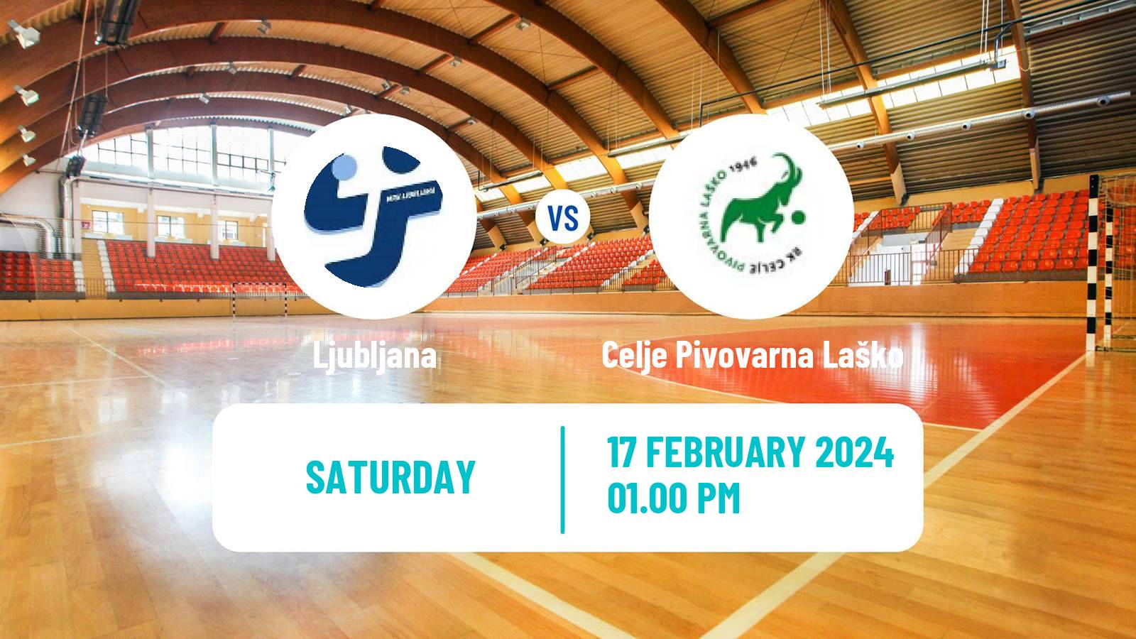 Handball Slovenian 1 NLB Liga Handball Ljubljana - Celje Pivovarna Laško