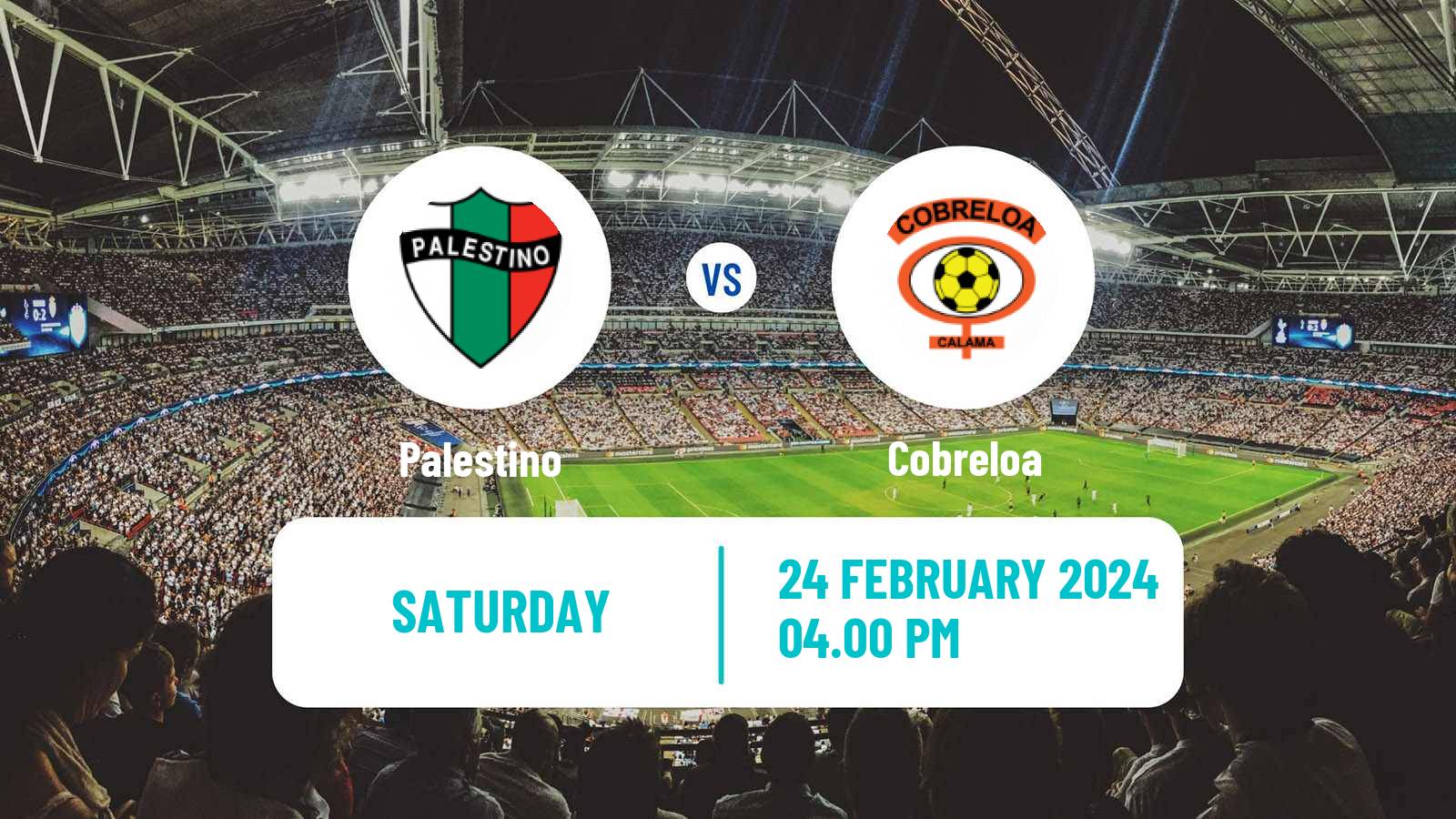 Soccer Chilean Primera Division Palestino - Cobreloa