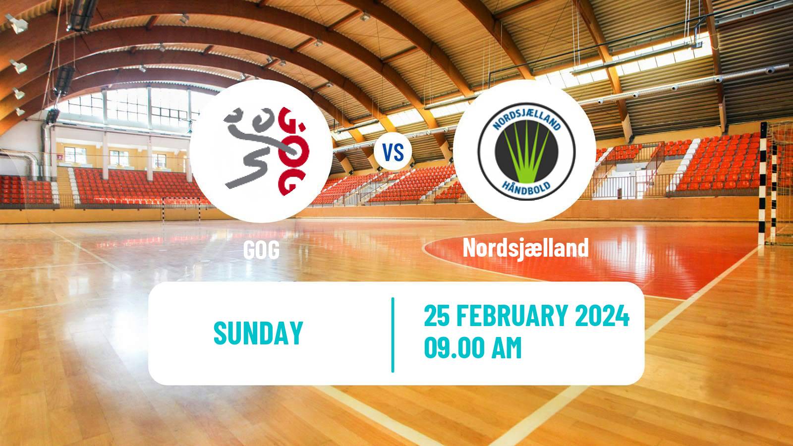 Handball Danish Handbold Ligaen GOG - Nordsjælland