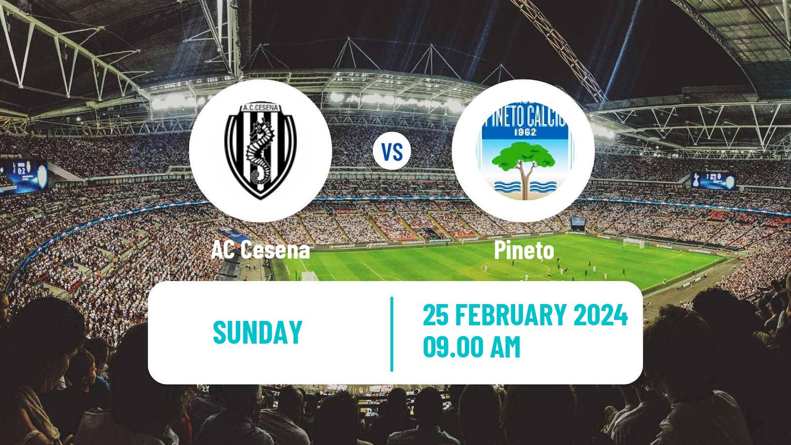 Soccer Italian Serie C Group B Cesena - Pineto