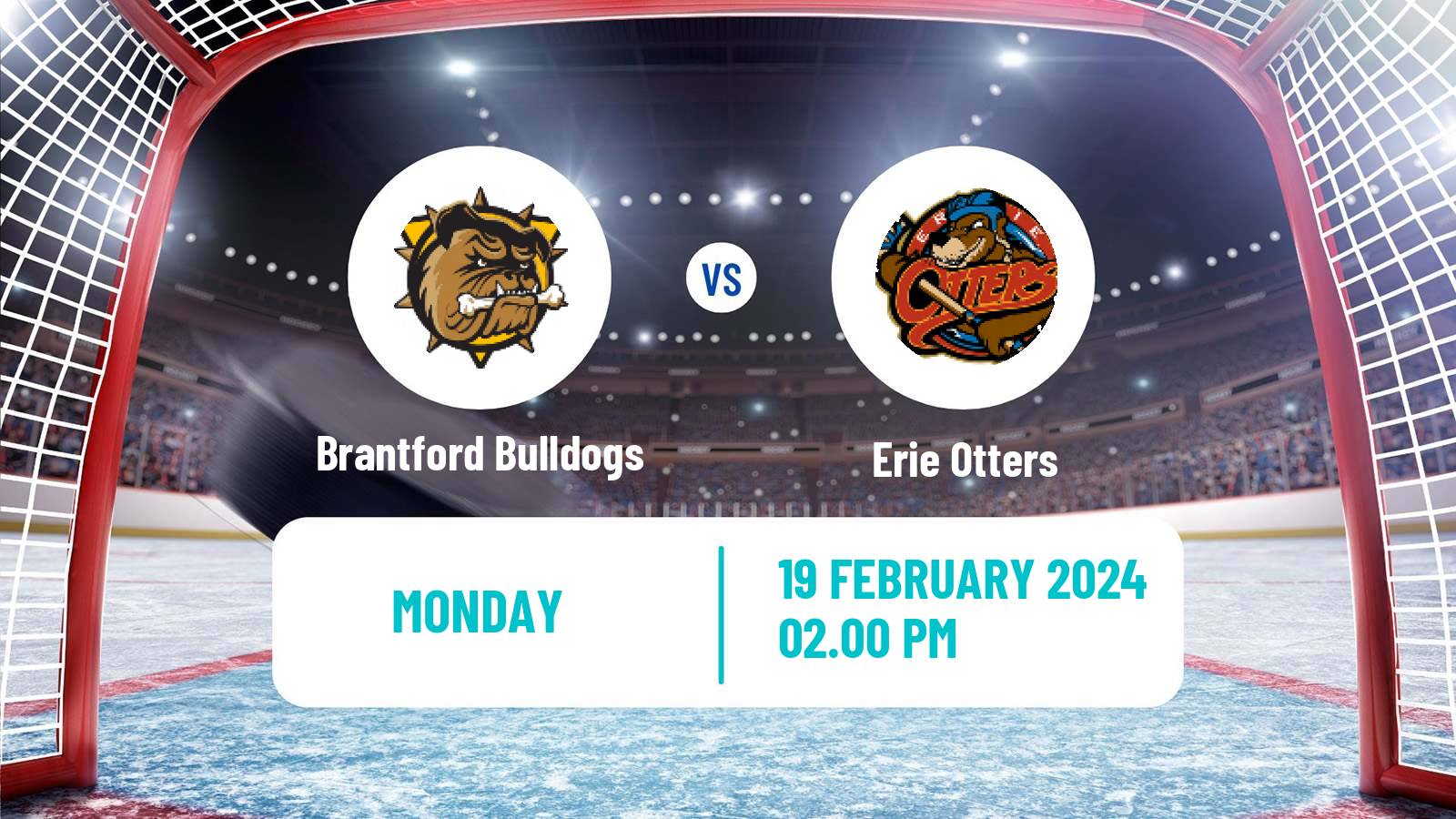 Hockey OHL Brantford Bulldogs - Erie Otters