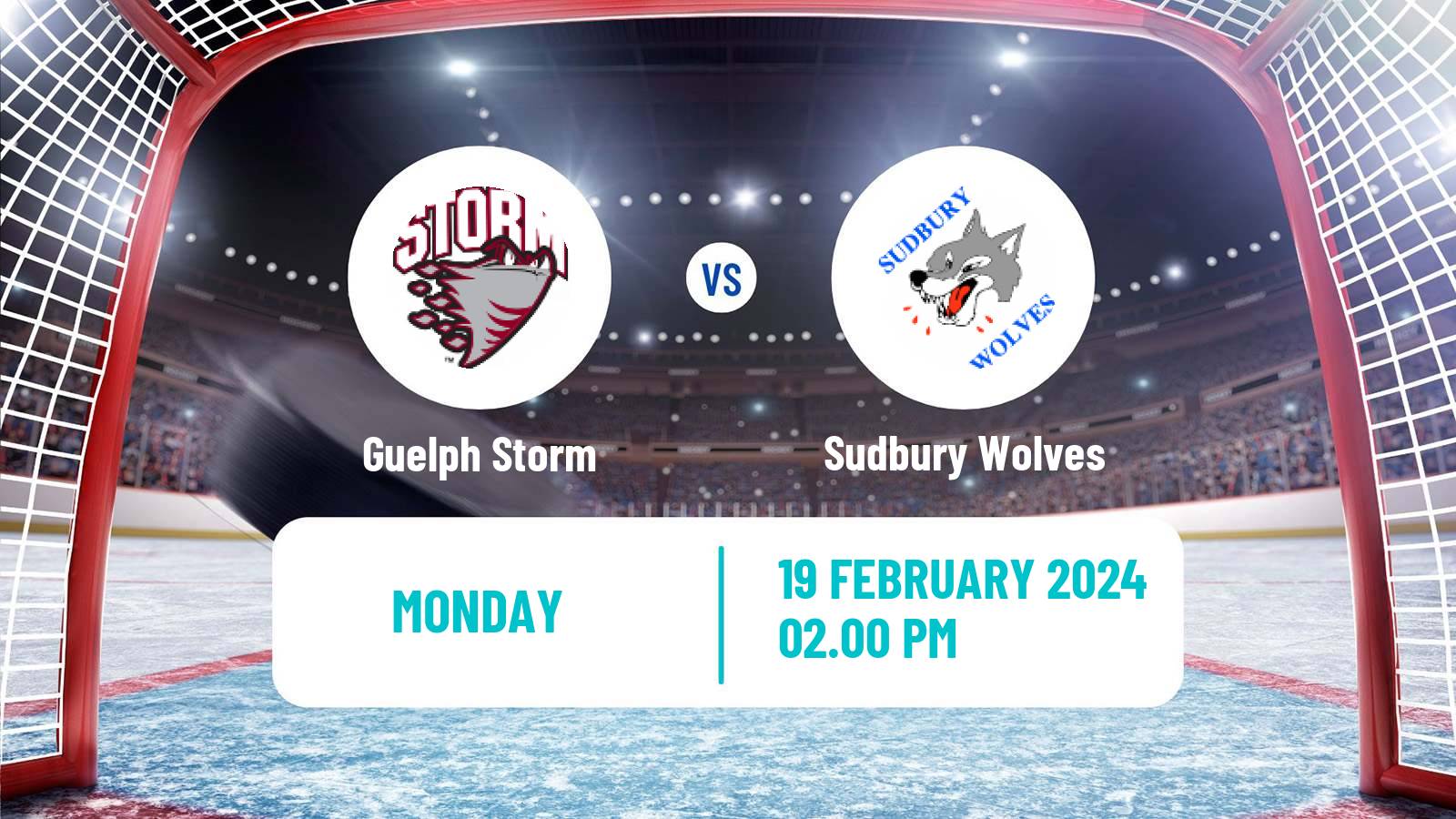 Hockey OHL Guelph Storm - Sudbury Wolves