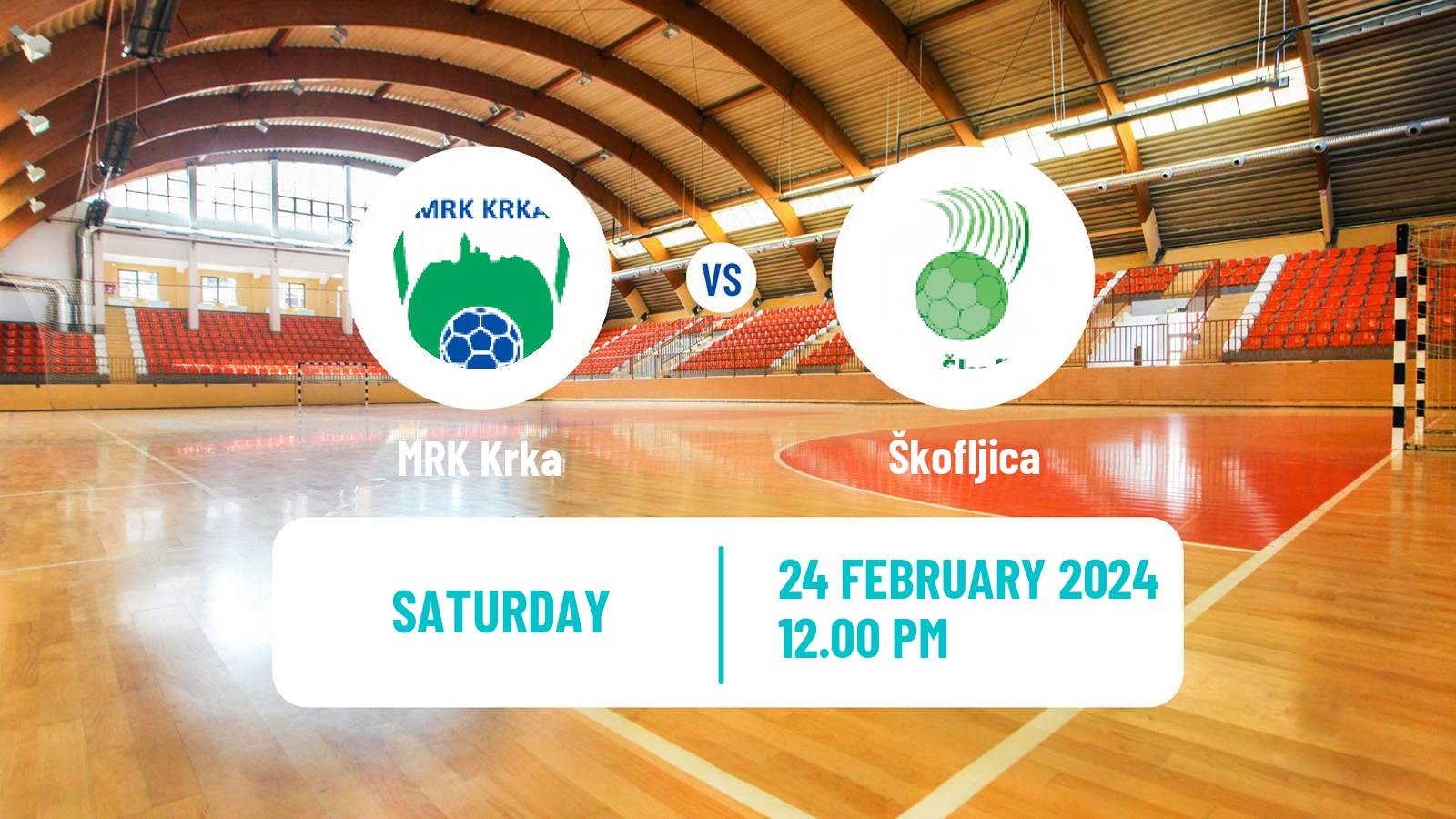 Handball Slovenian 1 NLB Liga Handball Krka - Škofljica