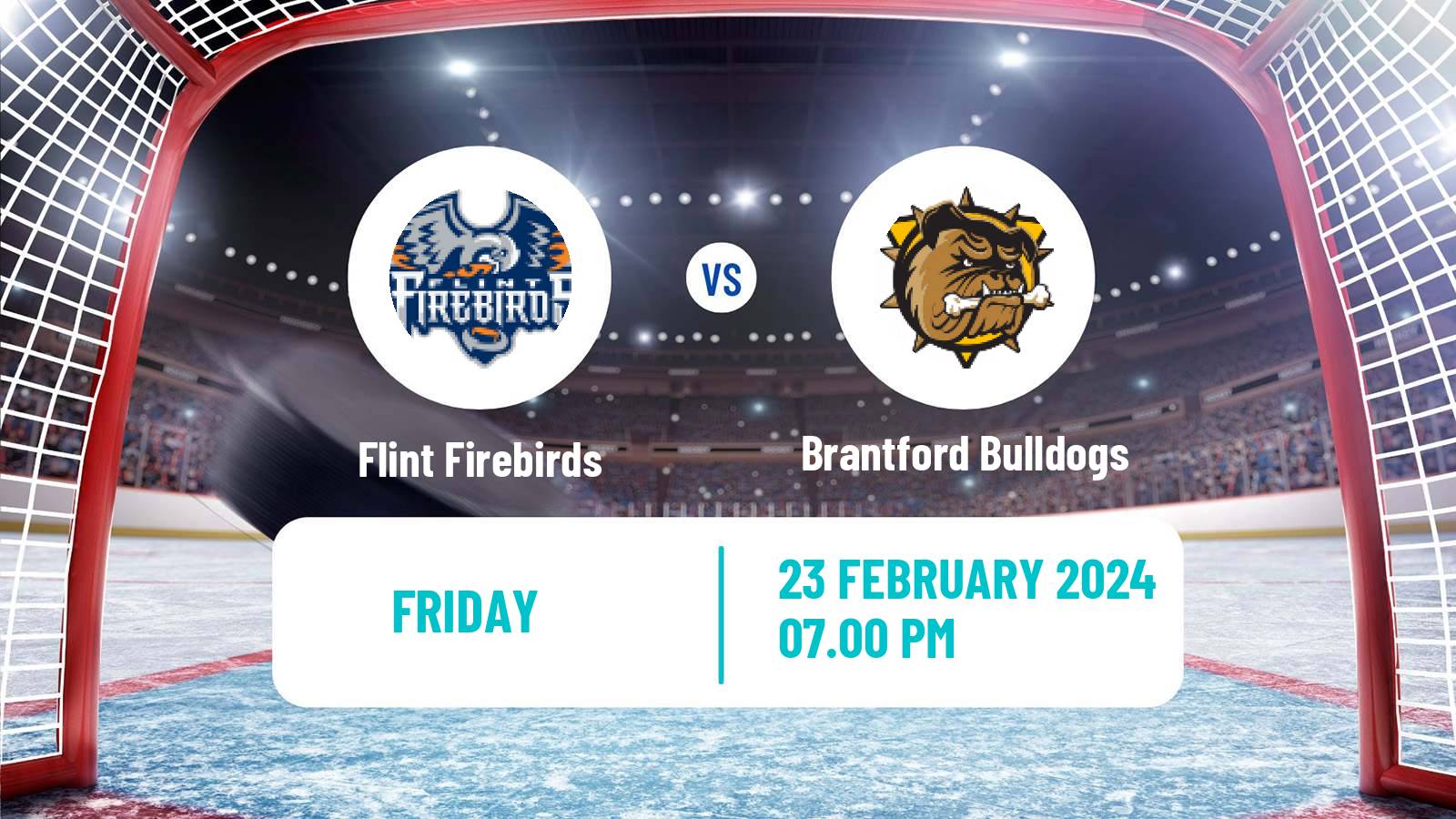 Hockey OHL Flint Firebirds - Brantford Bulldogs