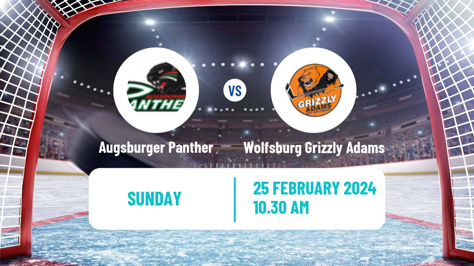 Hockey German Ice Hockey League Augsburger Panther - Wolfsburg Grizzly Adams