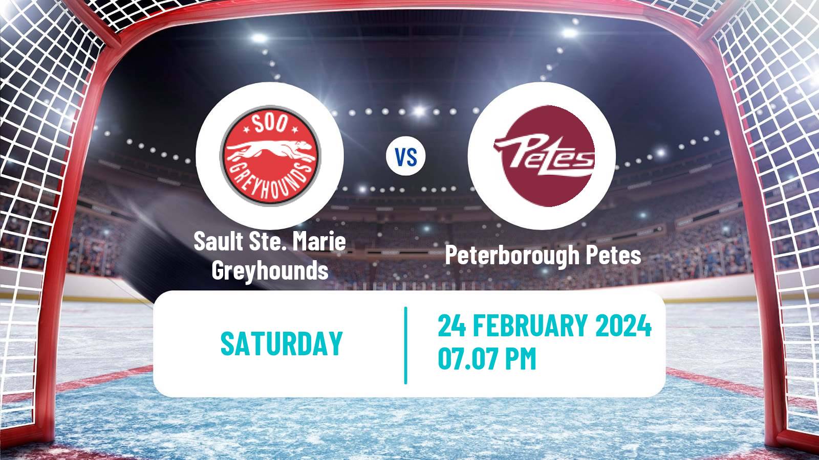 Hockey OHL Sault Ste. Marie Greyhounds - Peterborough Petes
