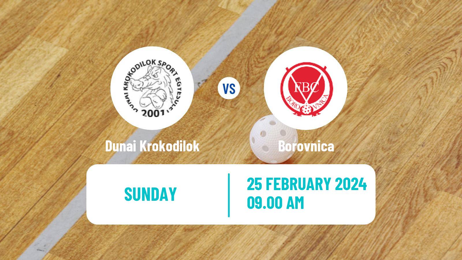 Floorball Austrian IFL Floorball Dunai Krokodilok - Borovnica