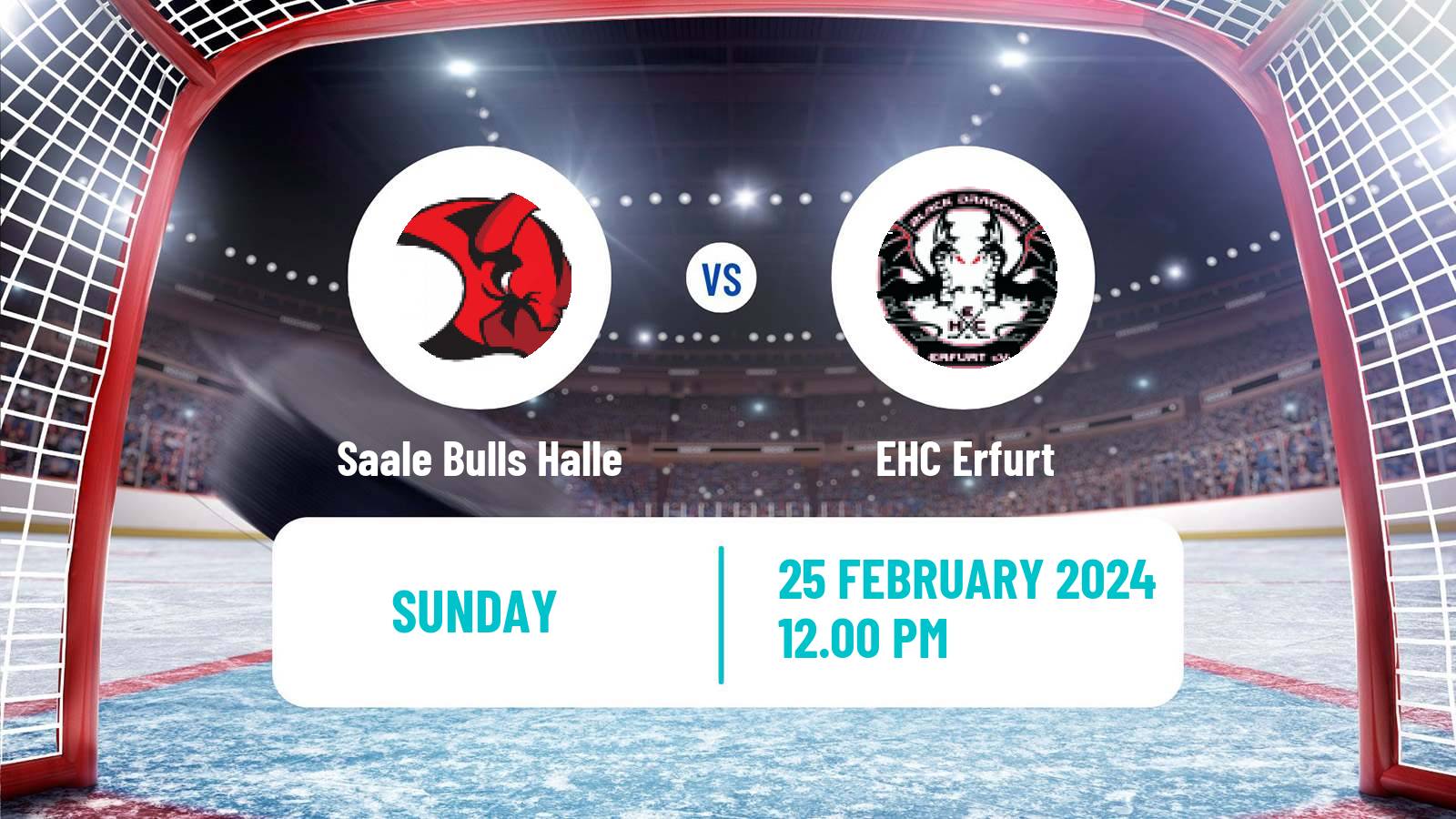 Hockey German Oberliga North Hockey Saale Bulls Halle - Erfurt