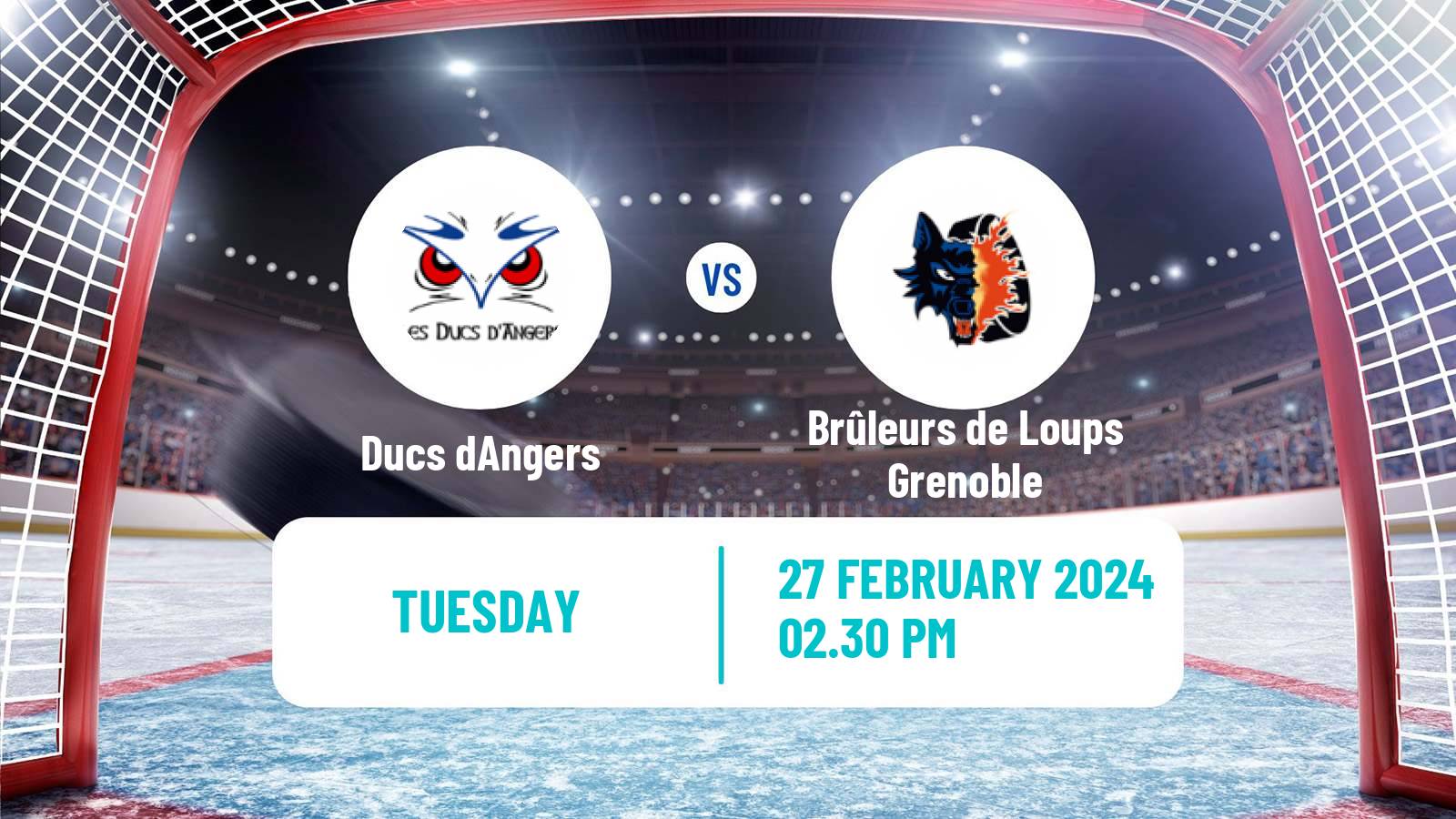 Hockey French Ligue Magnus Angers - Brûleurs de Loups Grenoble