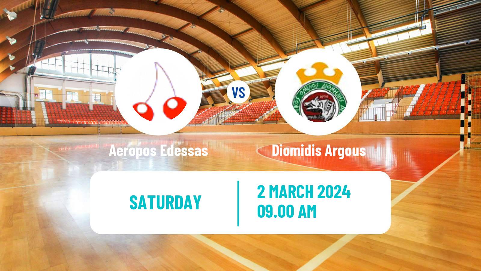 Handball Greek A1 Handball Aeropos Edessas - Diomidis Argous