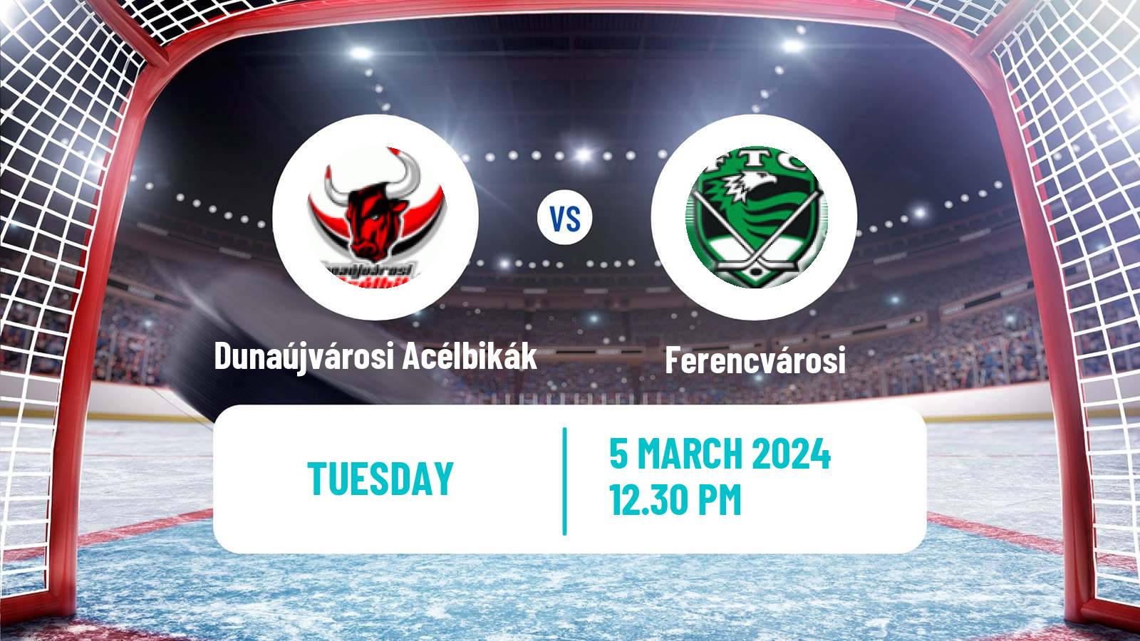 Hockey Hungarian Erste Liga Hockey Dunaújvárosi Acélbikák - Ferencvárosi