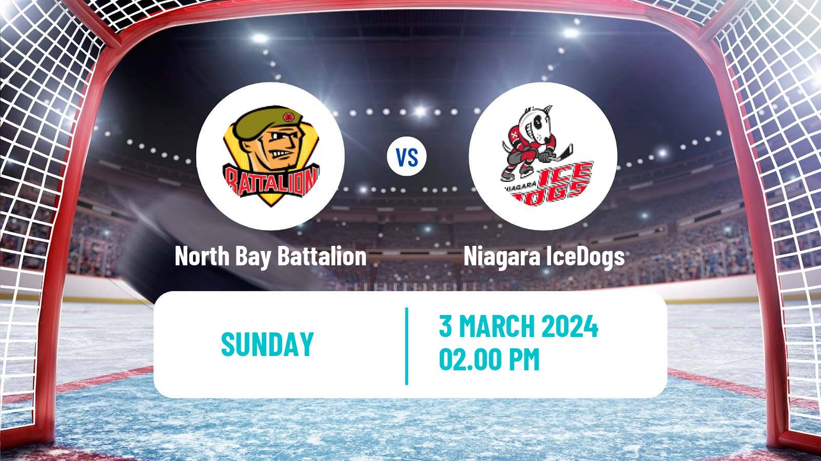 Hockey OHL North Bay Battalion - Niagara IceDogs
