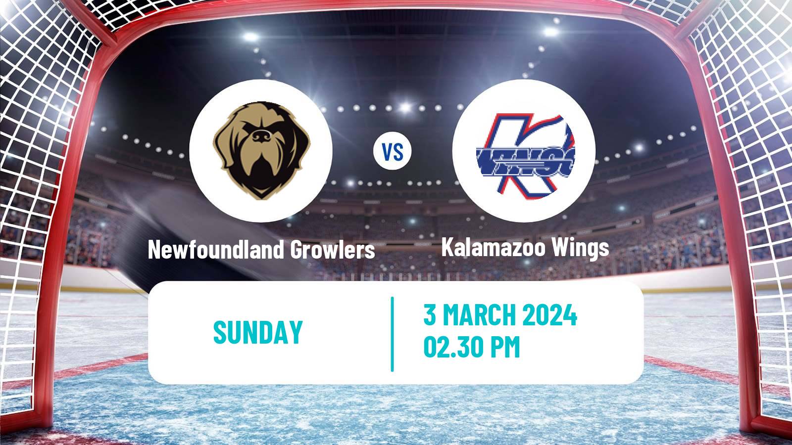 Hockey ECHL Newfoundland Growlers - Kalamazoo Wings