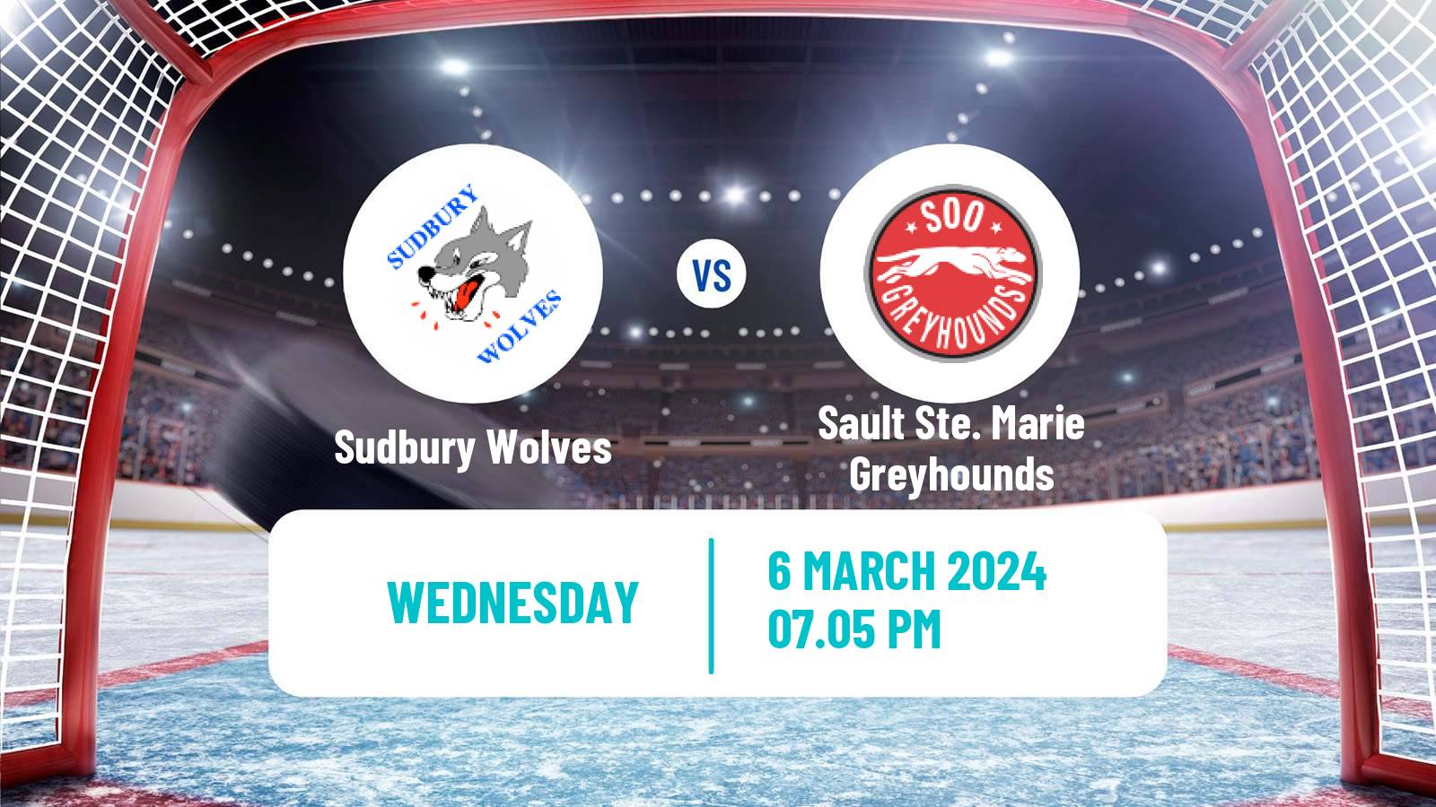 Hockey OHL Sudbury Wolves - Sault Ste. Marie Greyhounds