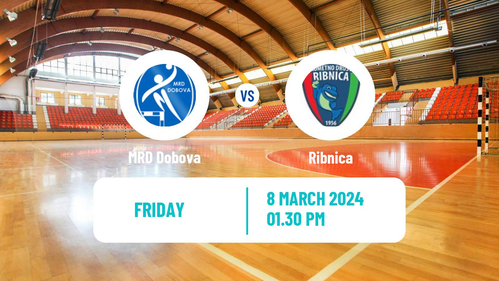 Handball Slovenian 1 NLB Liga Handball Dobova - Ribnica