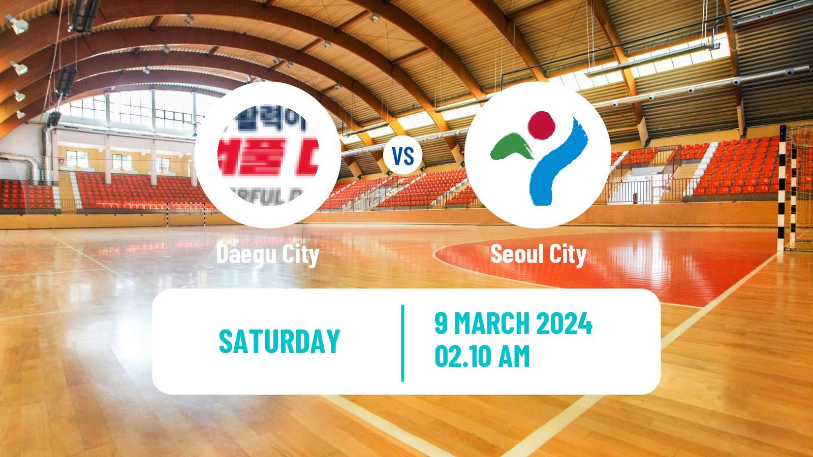 Handball South Korean 1st League Handball Women Daegu City - Seoul City