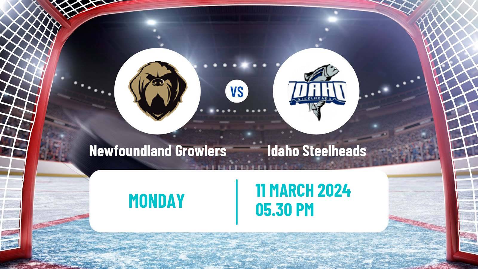 Hockey ECHL Newfoundland Growlers - Idaho Steelheads